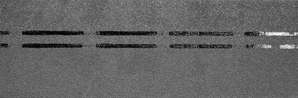 Коньково-карнизная черепица Docke Premium, черника купить в Боре