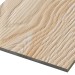 Фиброцементные панели FCSPRO Decor Wood Лиственница купить в Боре
