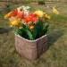 Цветник КАНЬОН купить в Боре